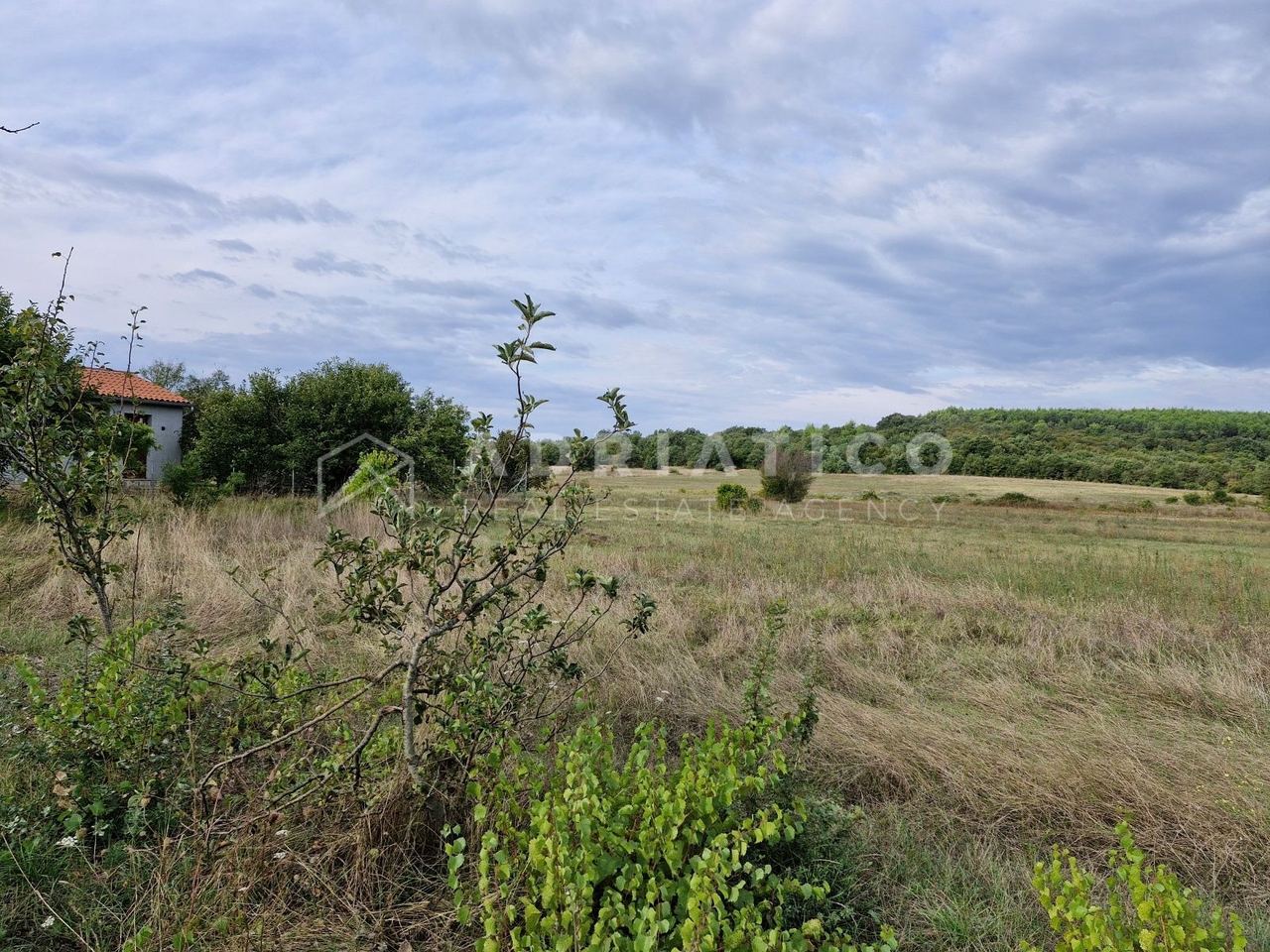 Zemljište u Rovinju, 9982m²