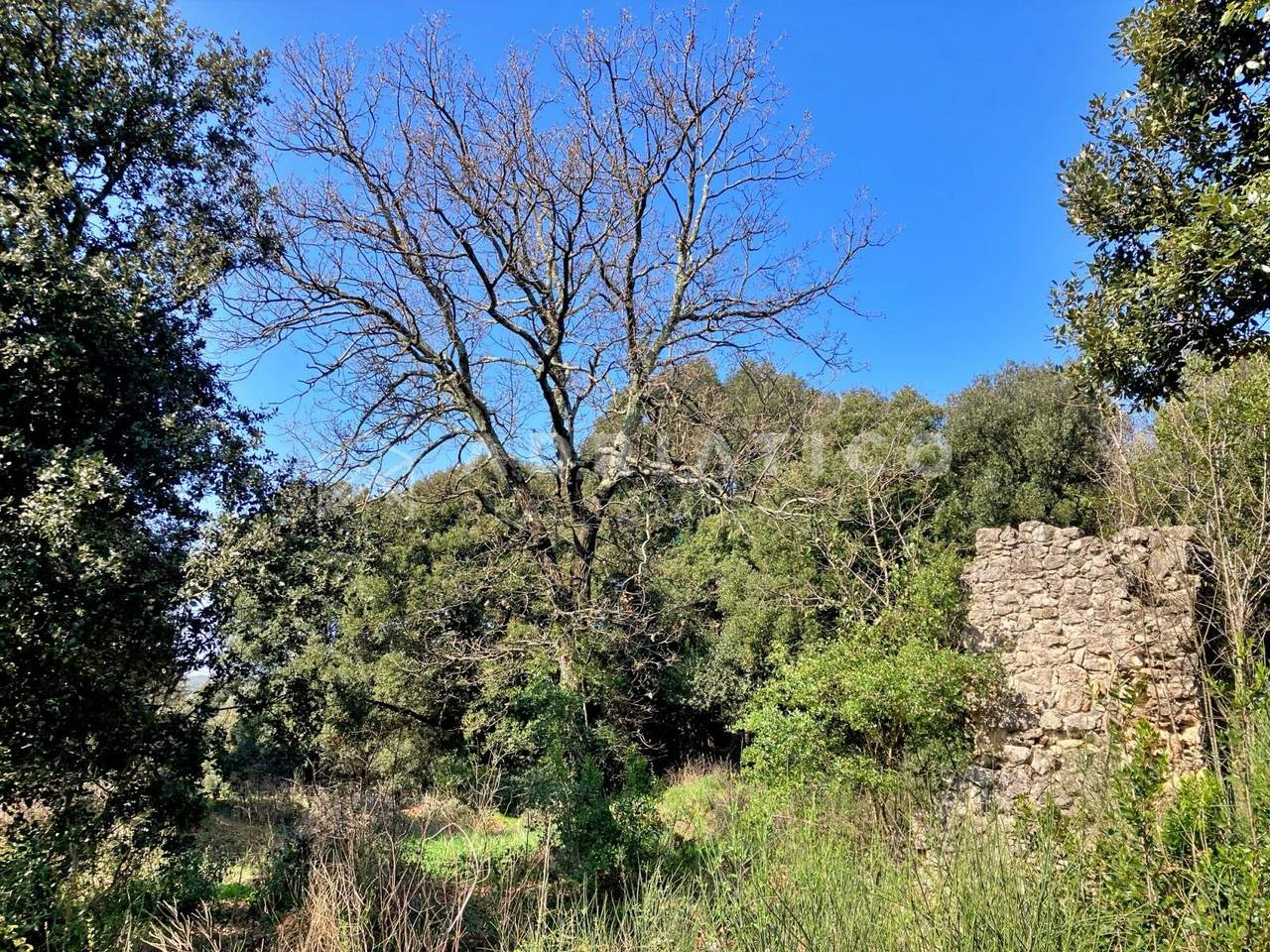 Land u Rovinj, 11040m²