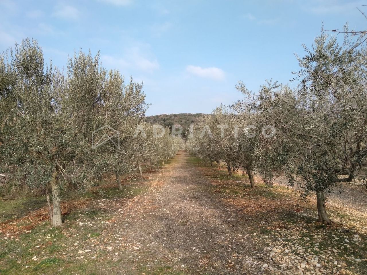 Land u Rovinj, 6636m²