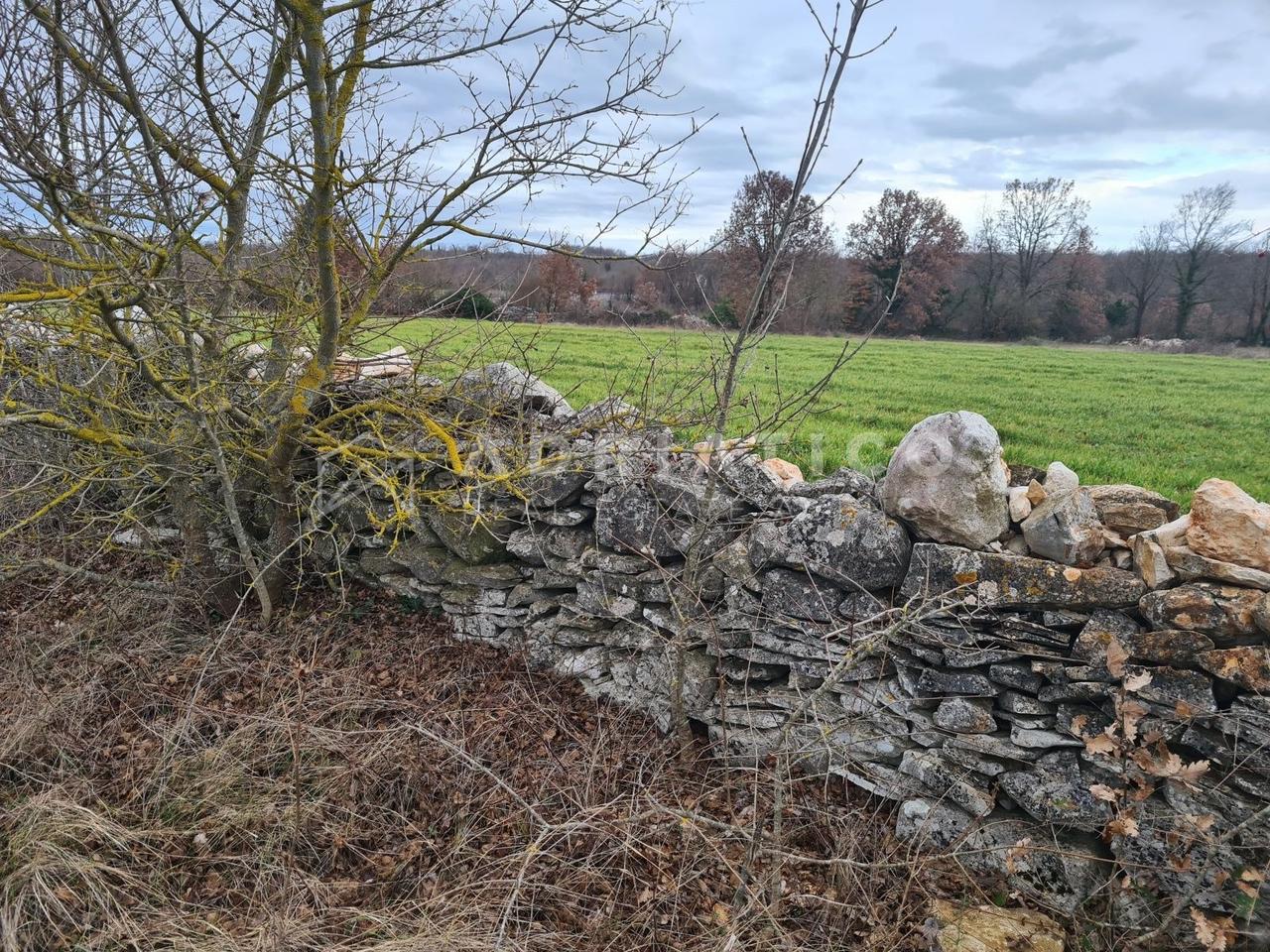 Land u Kanfanar, 7690m²