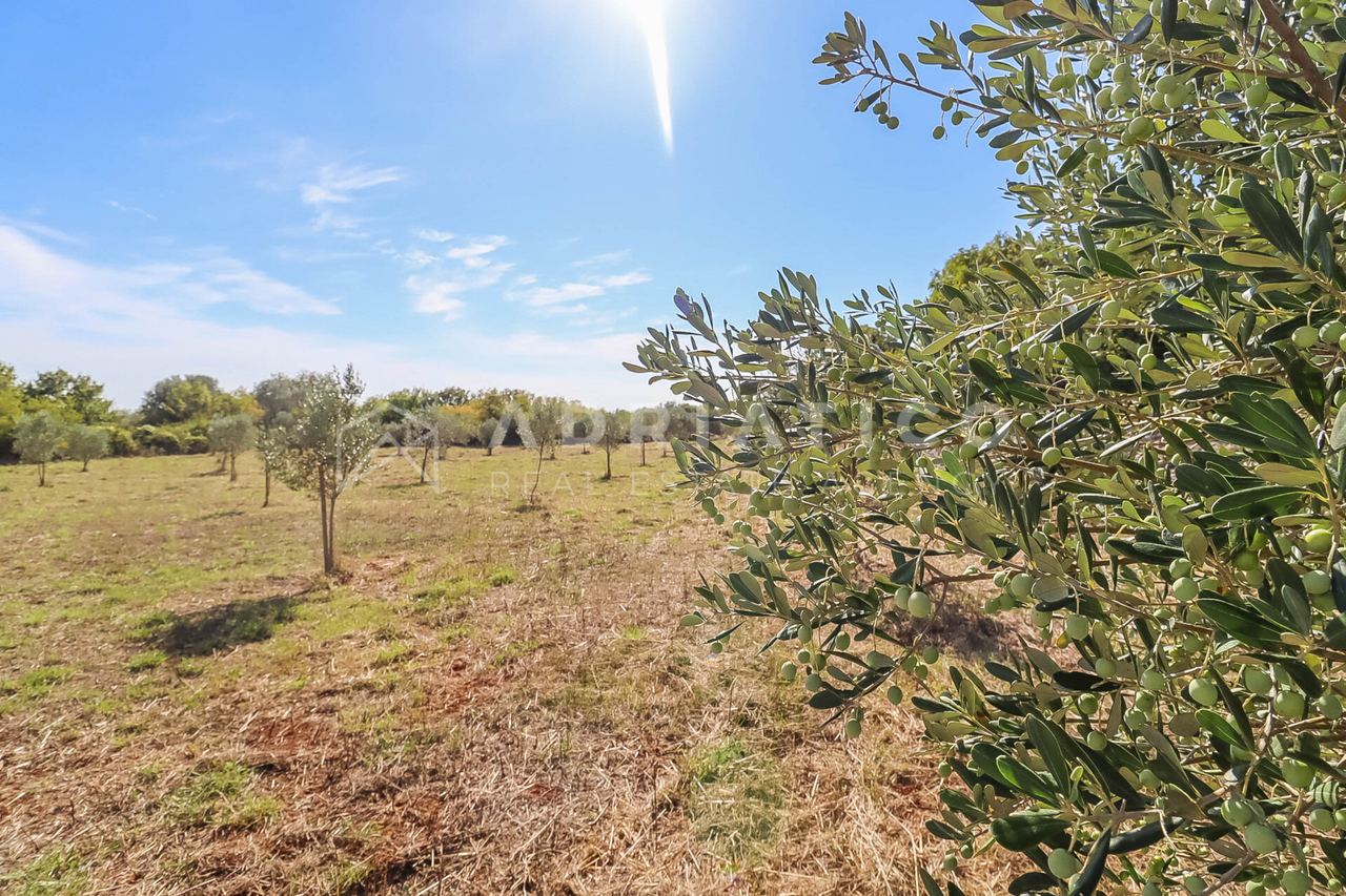 Zemljište u Vodnjanu, 5201m²