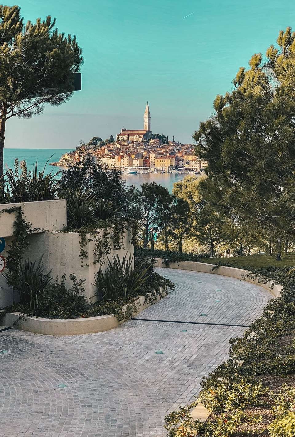 Pogled na stari grad Rovinj kroz borovu šumu